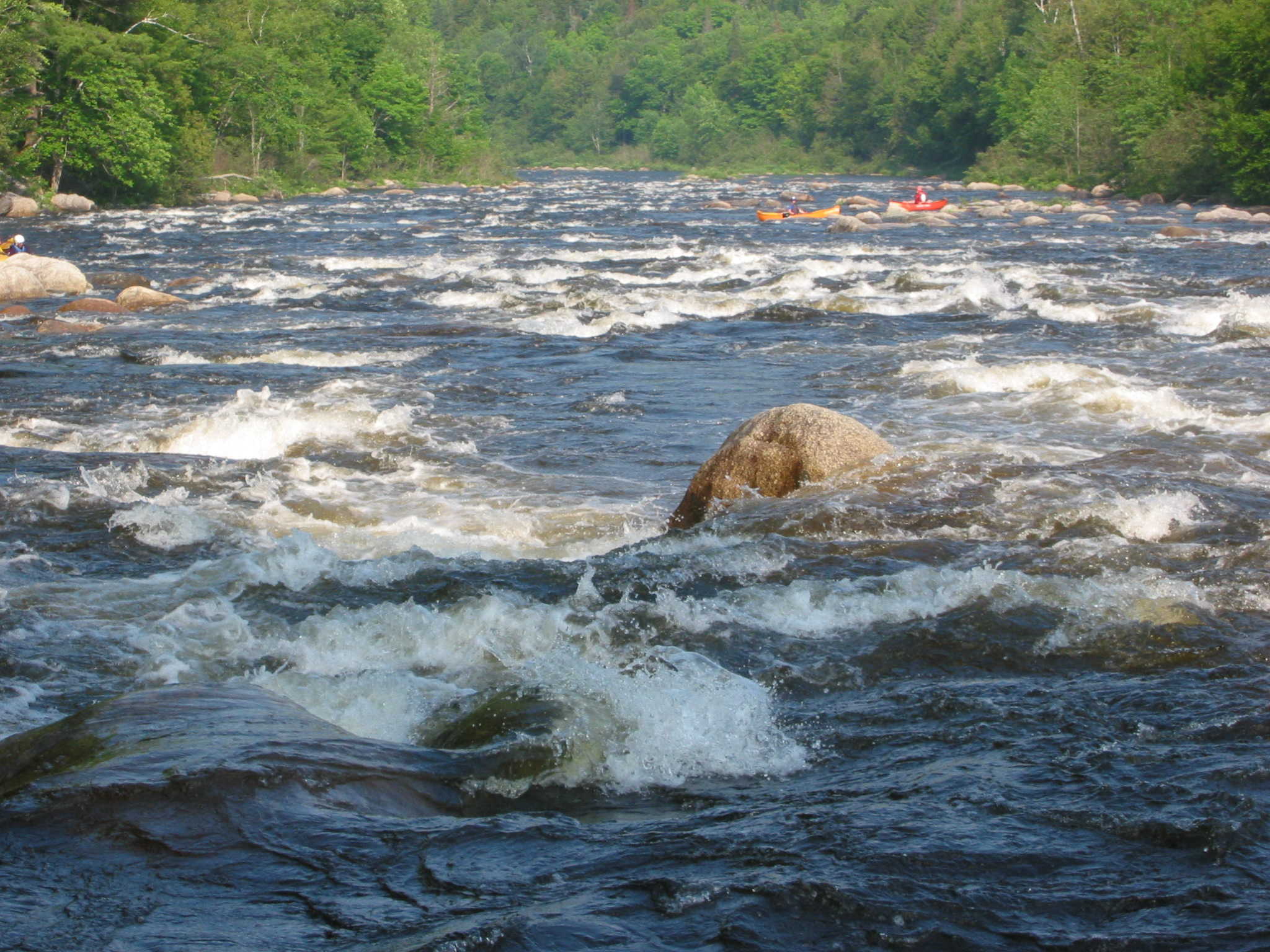 Typical rapids on the Dead at 2,400 cfs